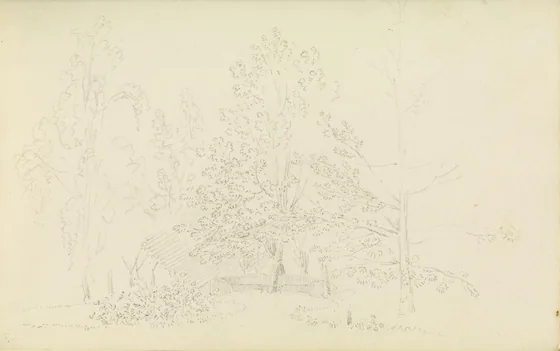 Banc sous les arbres — Caspar David Friedrich