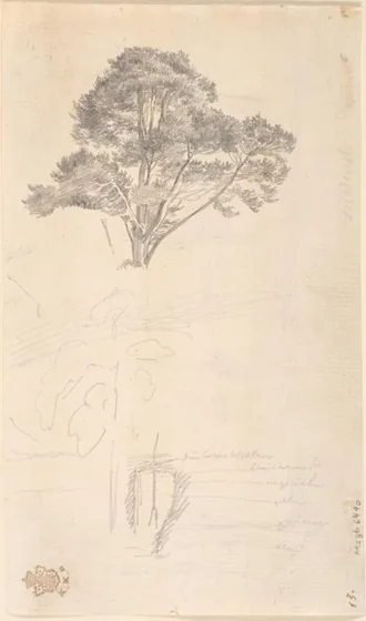 Étude de cime d'arbre — Caspar David Friedrich