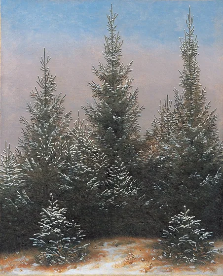 Taillis de l'épicéa au neige — Caspar David Friedrich