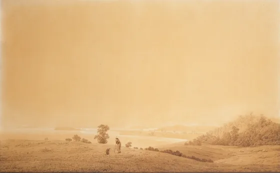 Vue de la côte est de l'île de Rügen, avec berger — Caspar David Friedrich