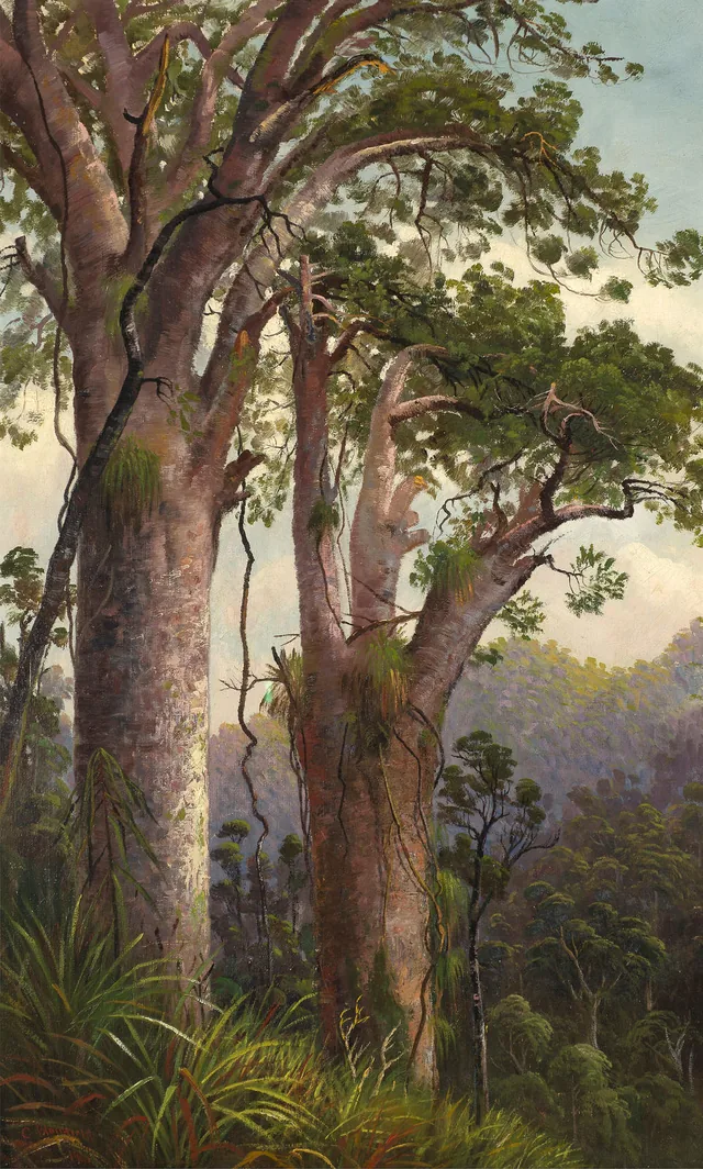 Dois kauris, Charles Blomfield