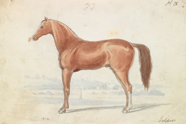 イギリスの競走馬