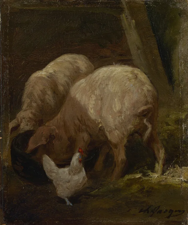 Pigs, Charles Jacque