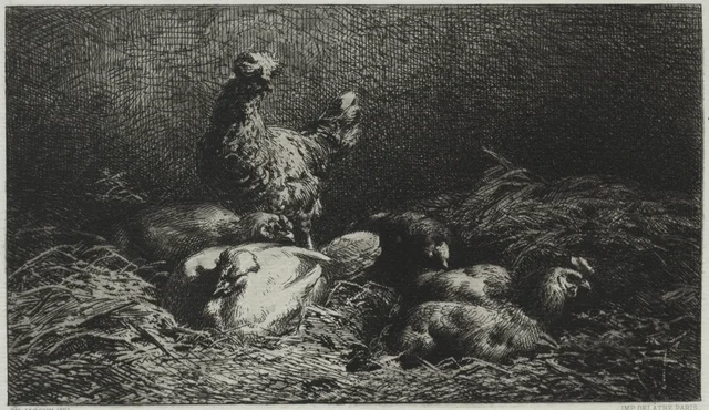 Chickens, Charles Jacque