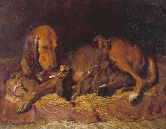 Chien de Saint-Hubert et ses chiots, Charles Landseer