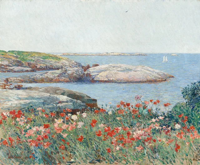 Coquelicots, îles Shoals