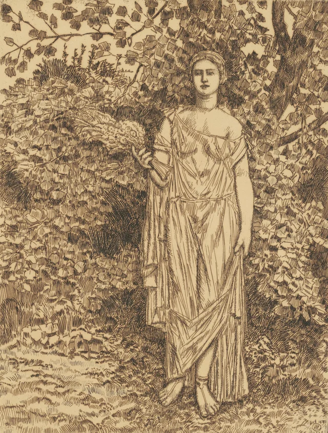 Flora