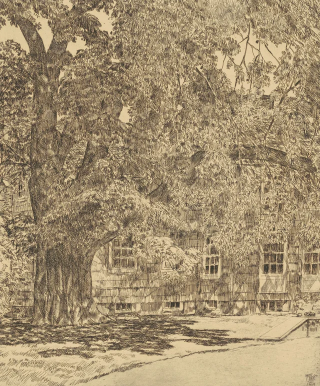 L'Orme géant, Easthampton, Childe Hassam
