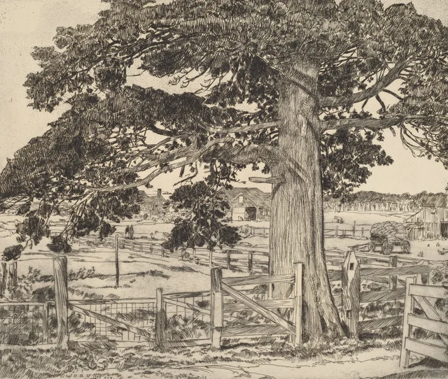 El gran cedro