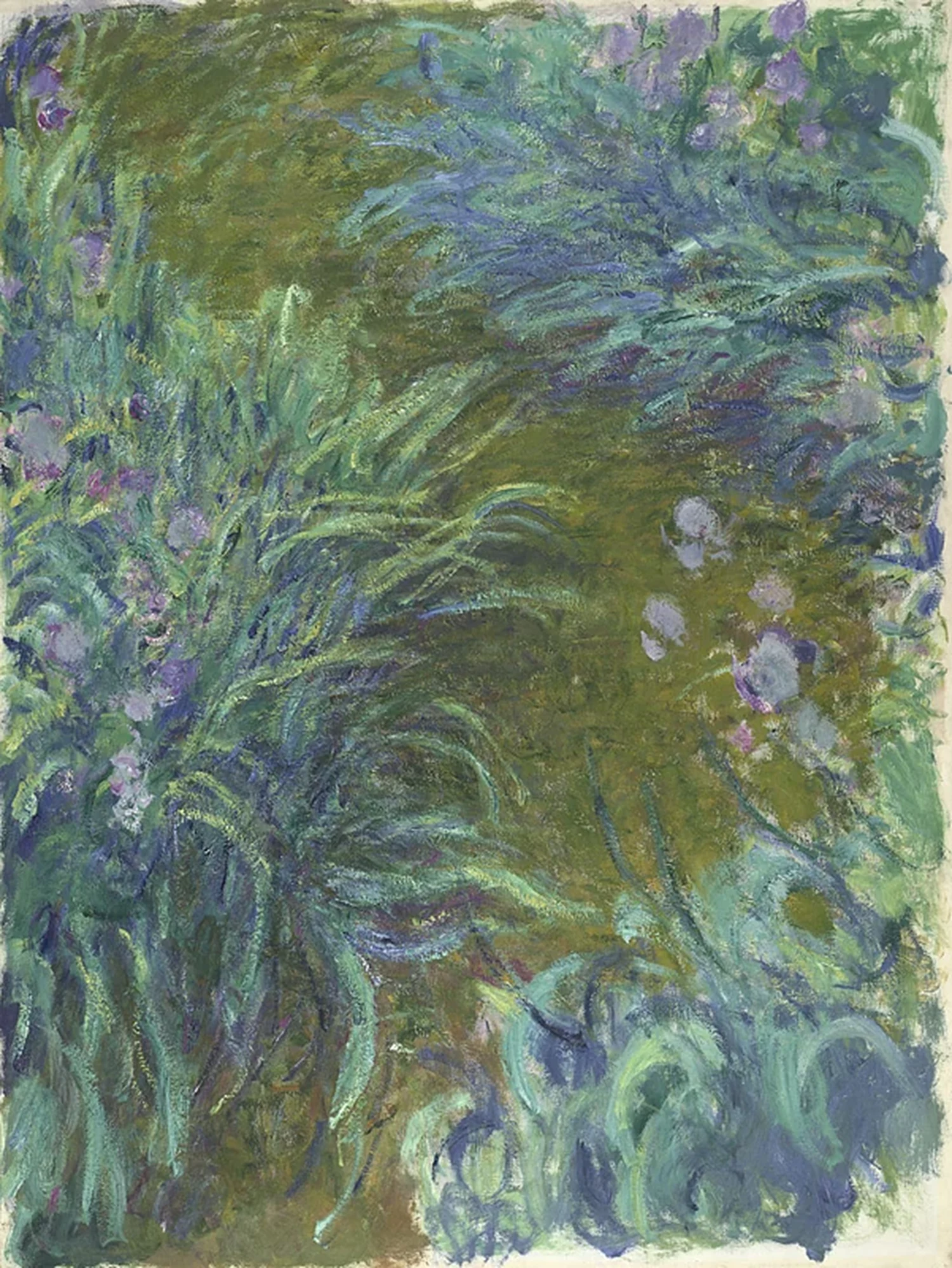 Iris, Claude Monet