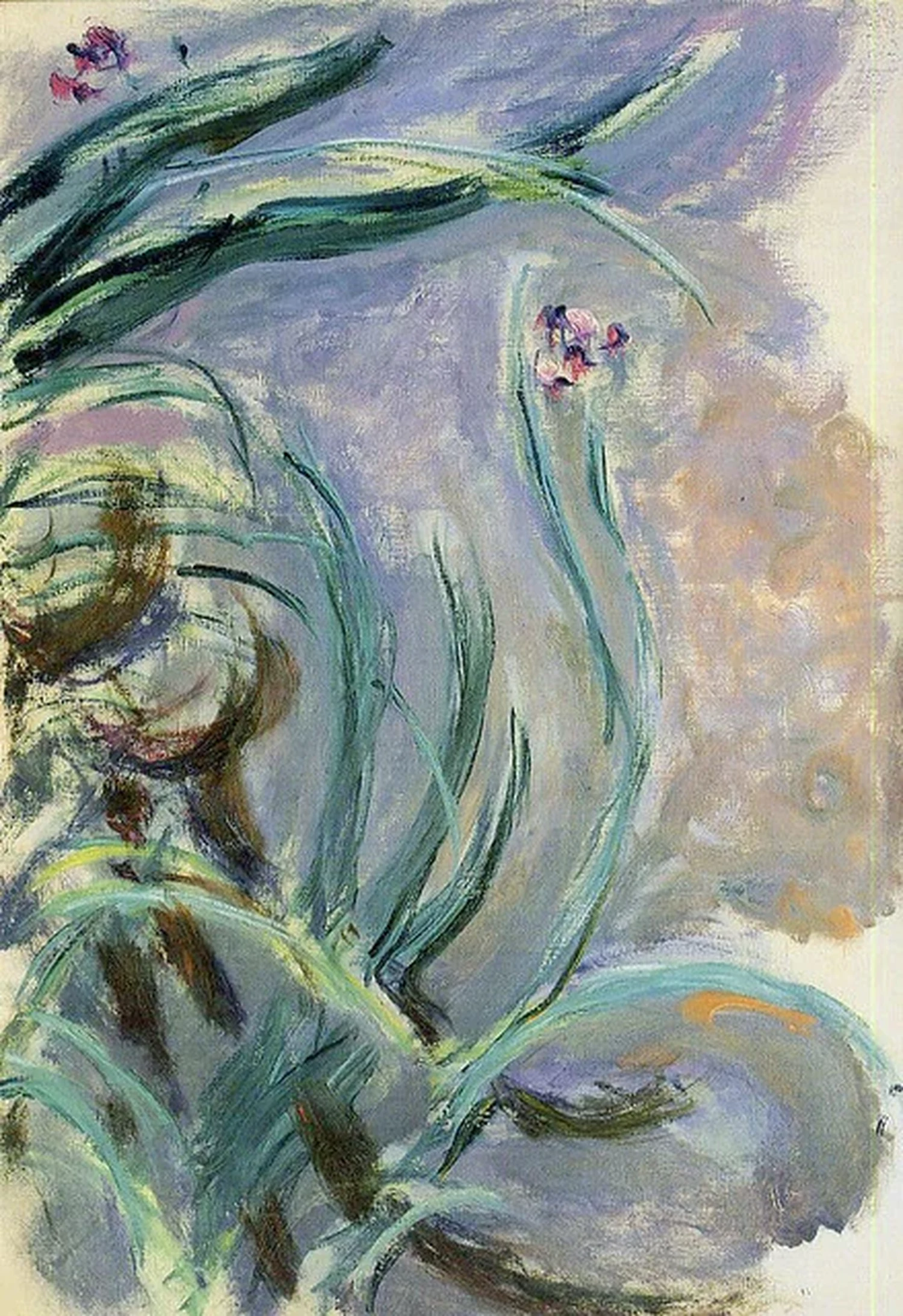 Iris, Claude Monet
