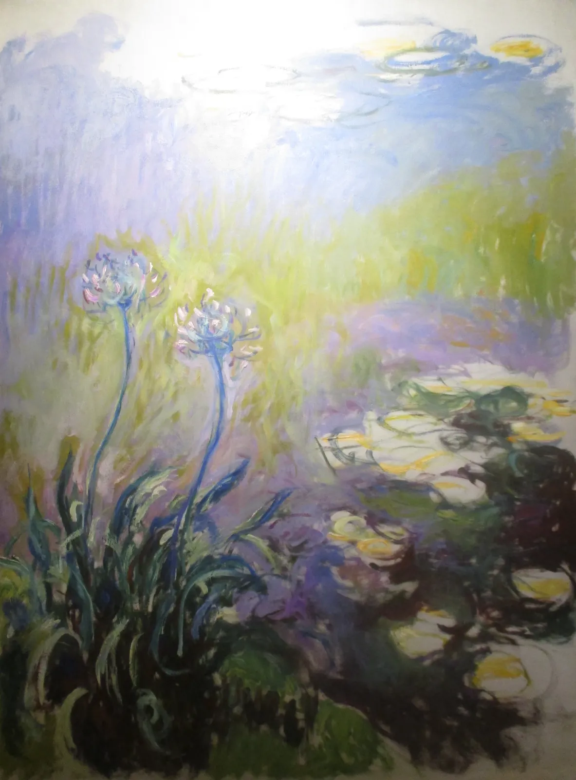 Agapanthes, Claude Monet