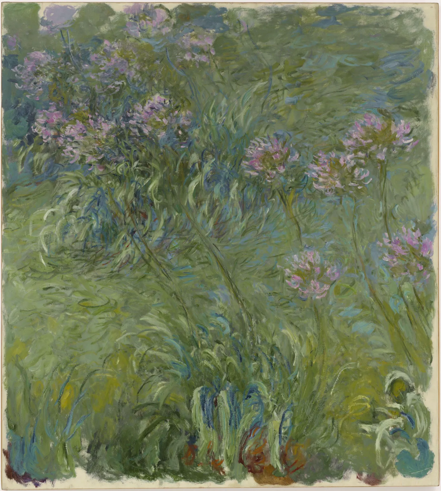 Agapanthus, Claude Monet