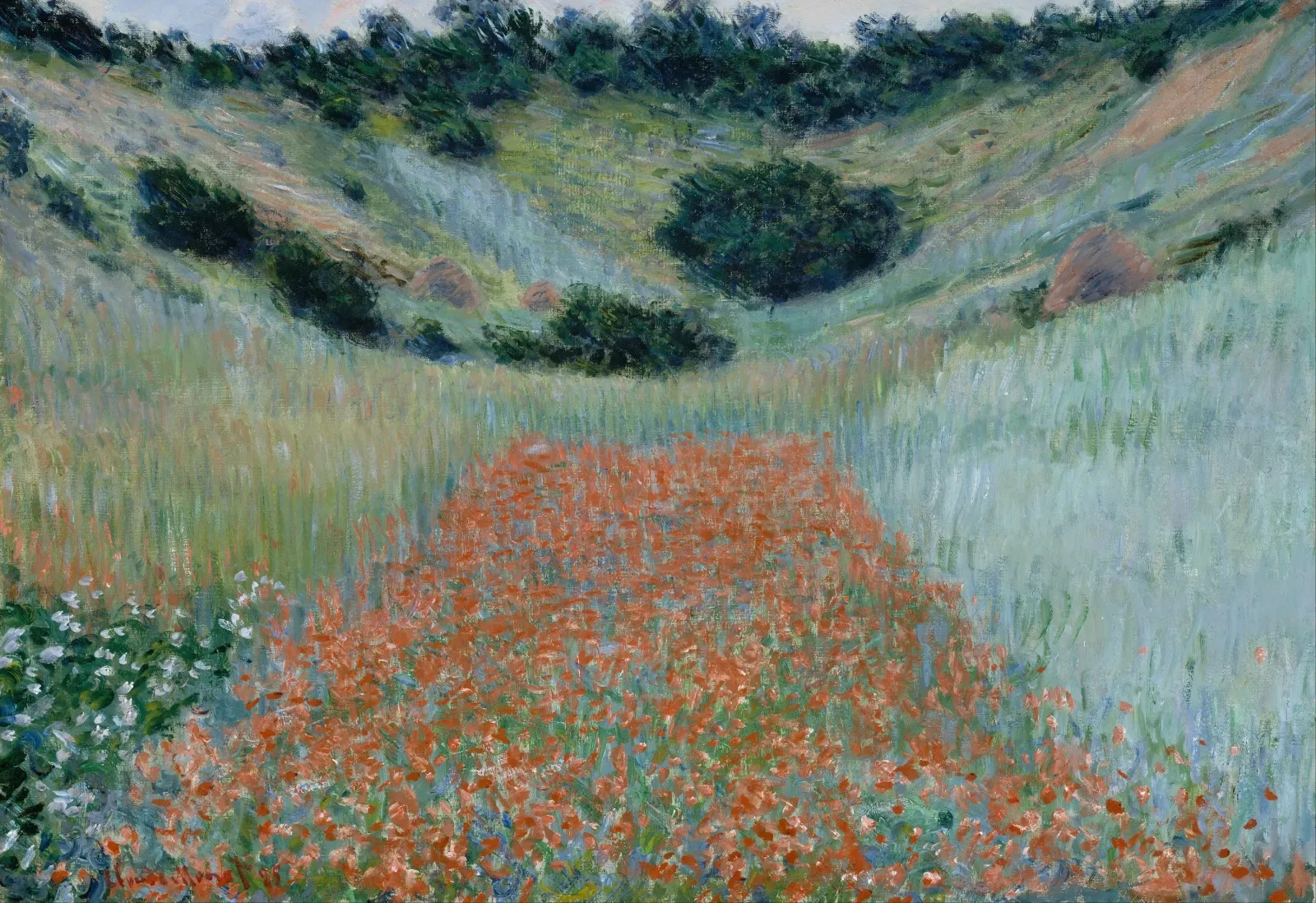 Champ de coquelicots dans un creux près de Giverny, Claude Monet