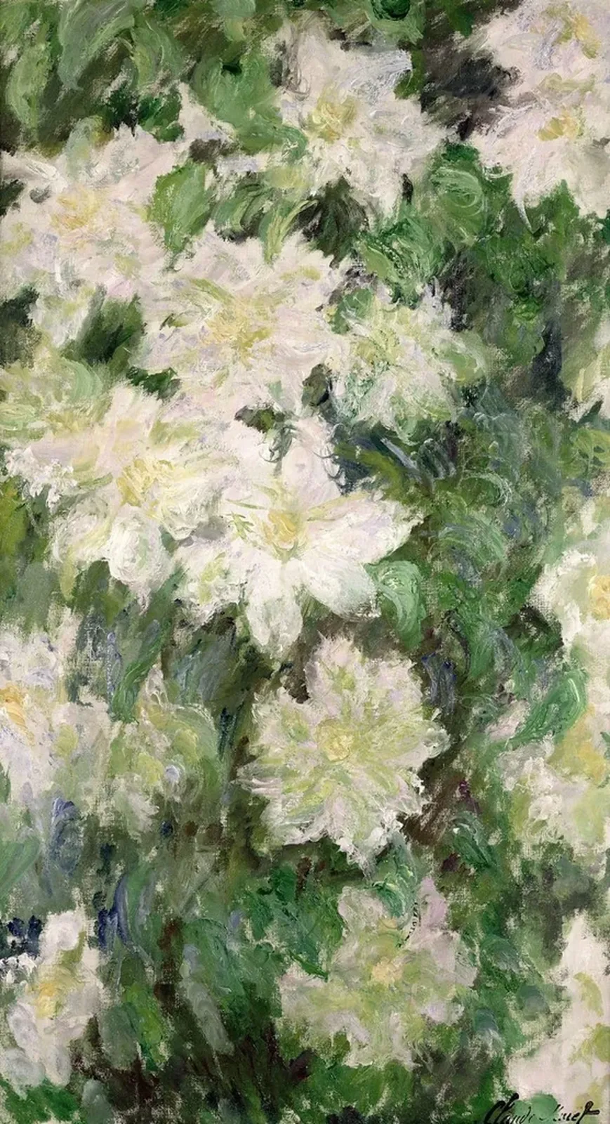 Clématites blanches, Claude Monet