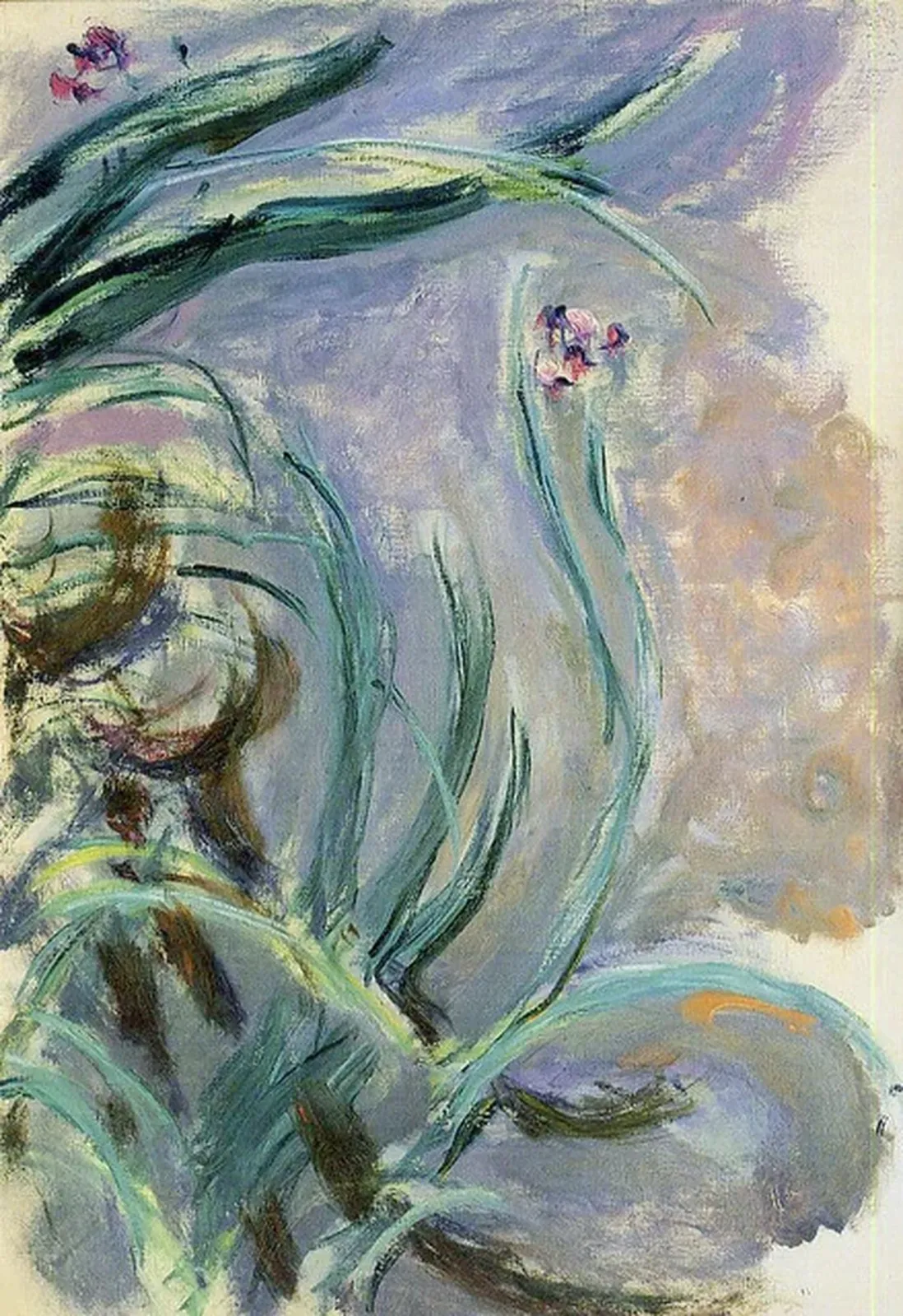 Iris, Claude Monet