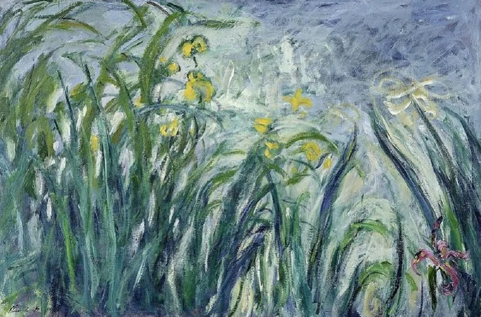 Iris jaunes et mauves, Claude Monet