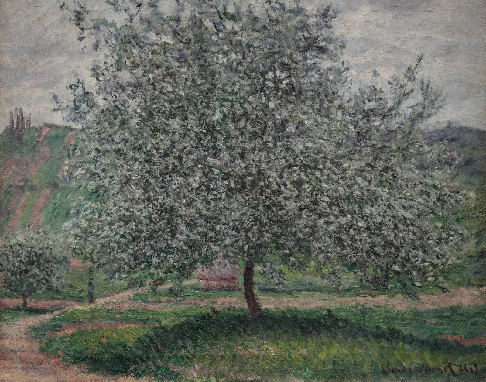 Le Pommier, Claude Monet