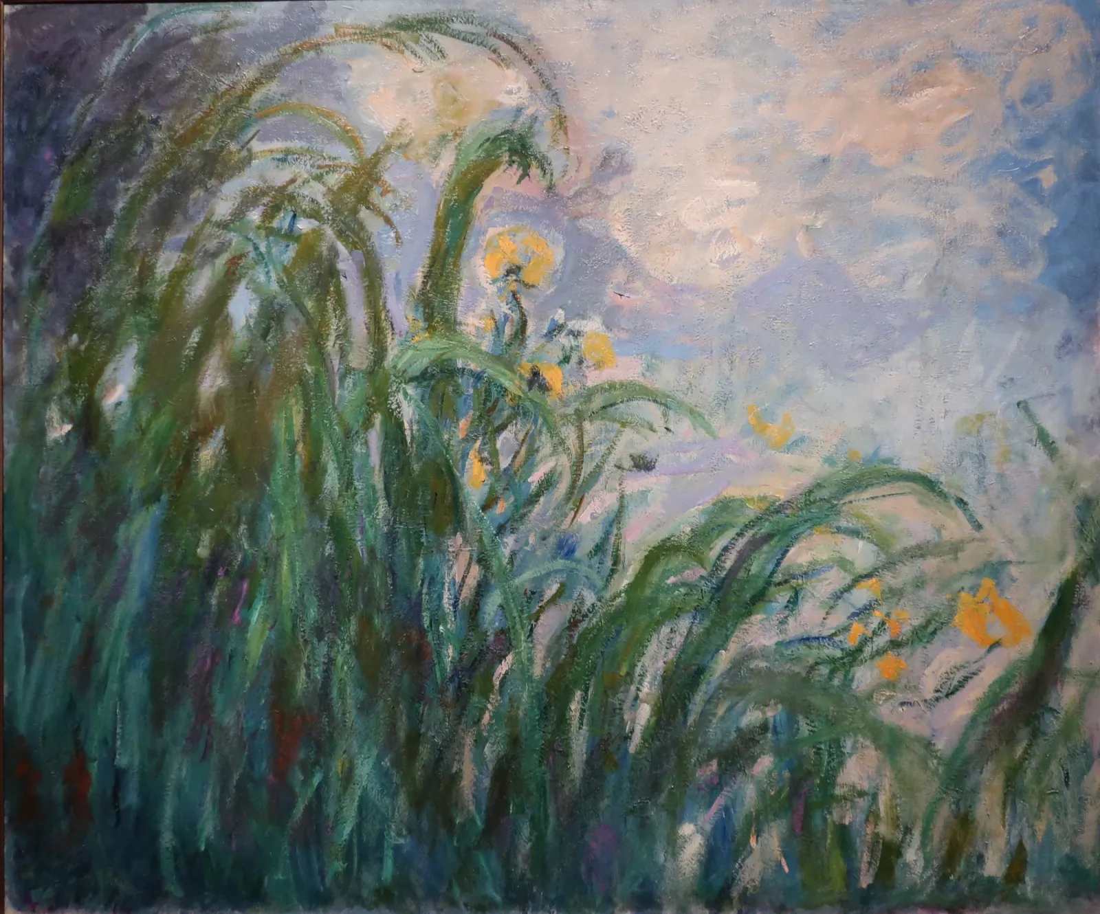 Les iris jaunes, Claude Monet