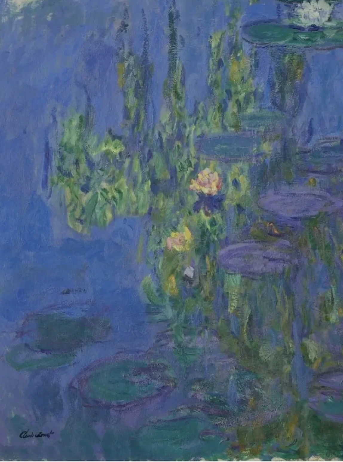 Nymphéas, Claude Monet