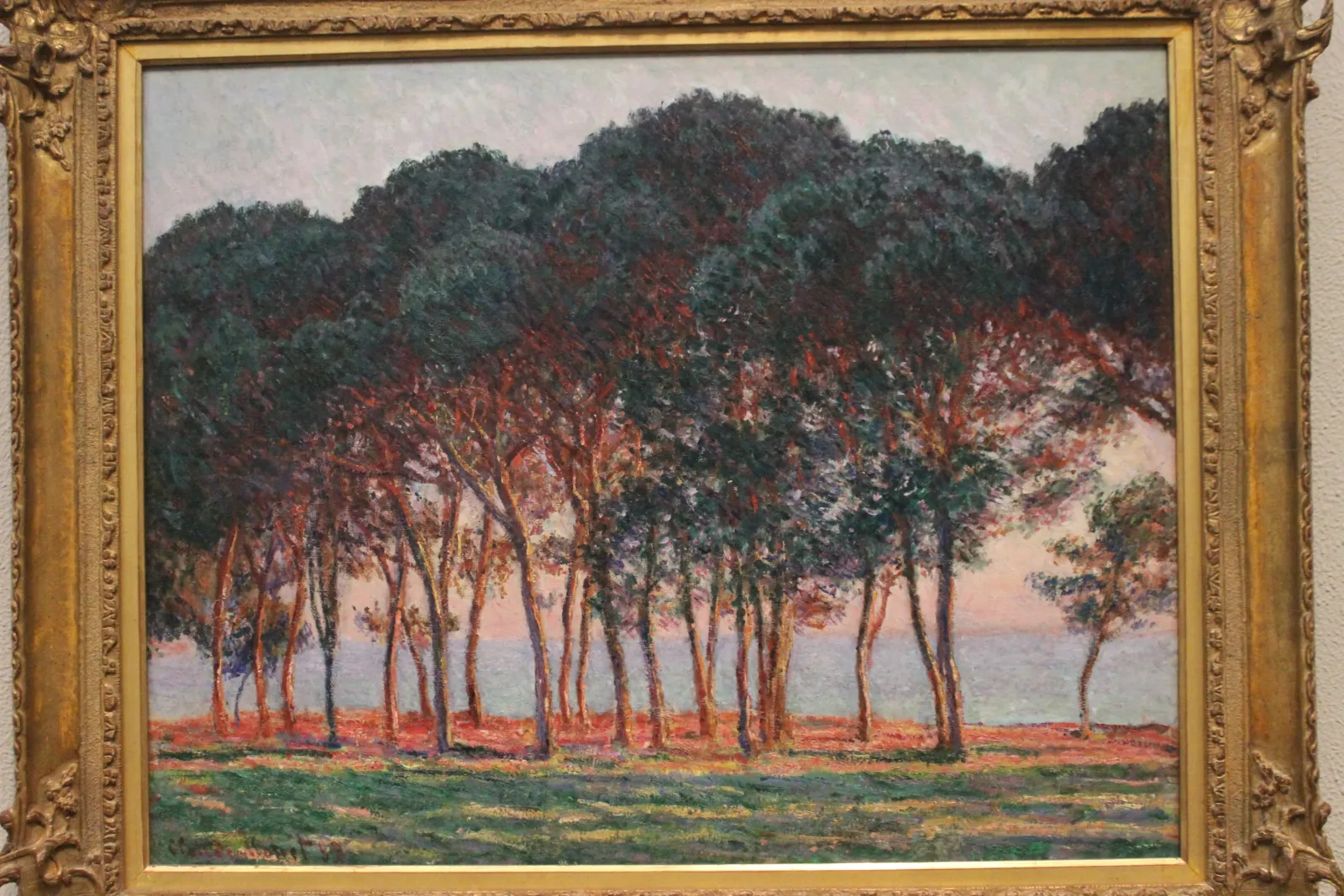 Sous les pins, soir, Claude Monet