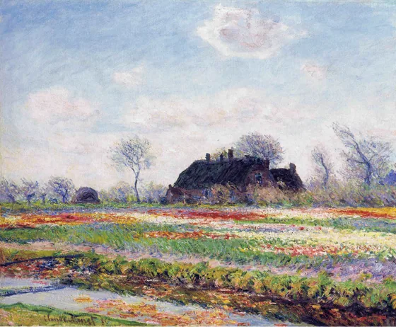 À Sassenheim près de Haarlem, champ de tulipes