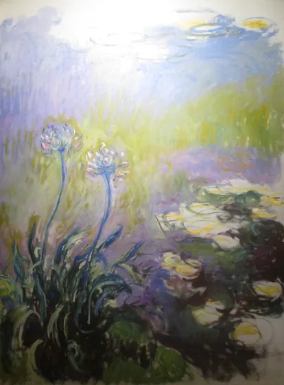 Agapanthes