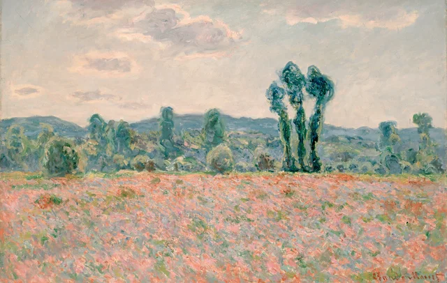 Campo de amapolas