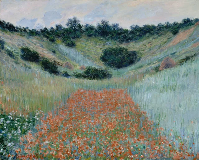 Campo de amapolas en una hondonada cerca de Giverny