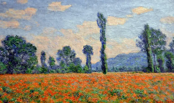 Champs de coquelicots à Giverny