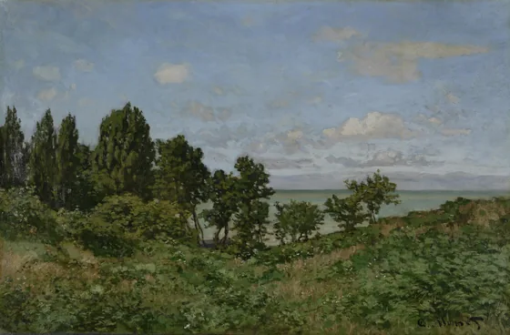 Coastal landscape
