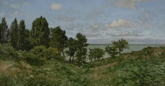 Coastal landscape