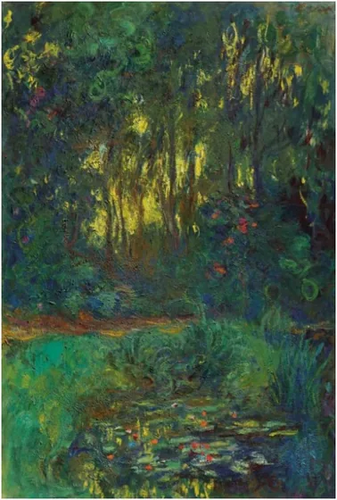 Coin du bassin aux nymphéas