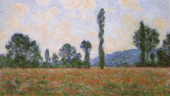 Field of Poppies