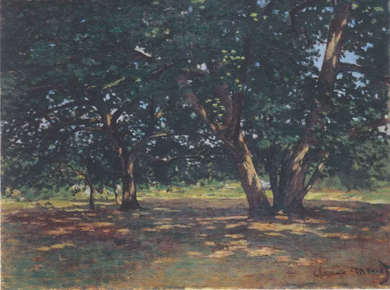 Forêt de Fontainebleau