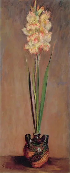 Gladiolus