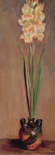 Gladiolus