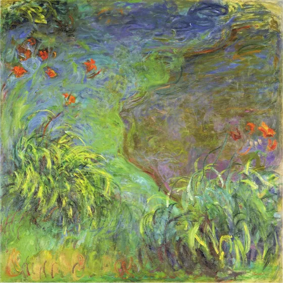 Hémérocalles au bord de l’eau