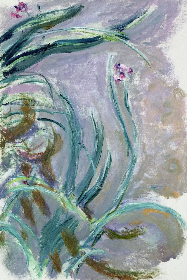 Iris, Claude Monet