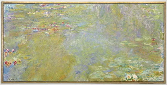 Le bassin aux nymphéas