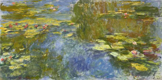 Le bassin aux nymphéas