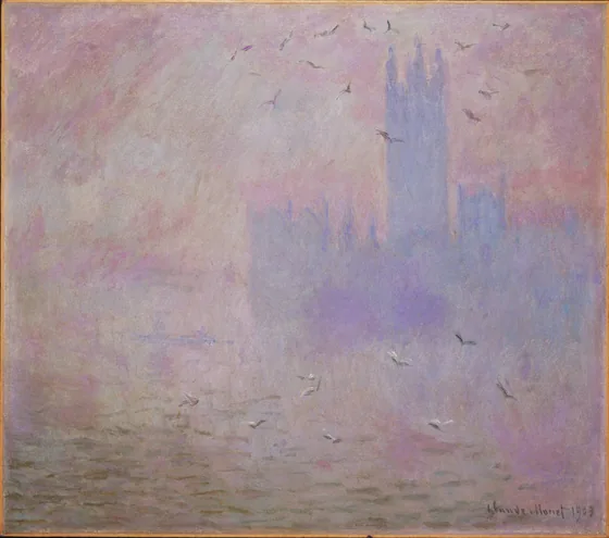 Le Parlement, les mouettes