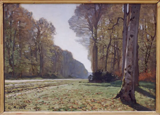 Le Pavé de Chailly