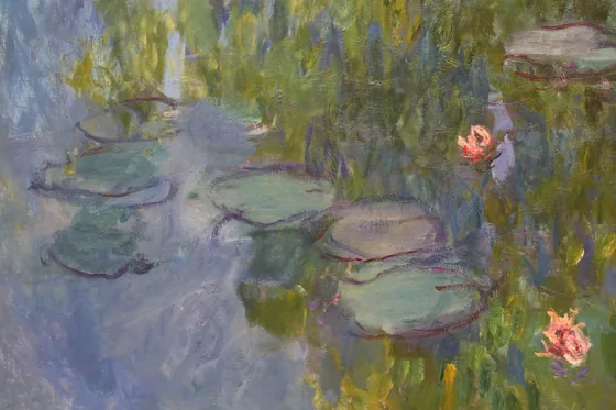 Les Nymphéas