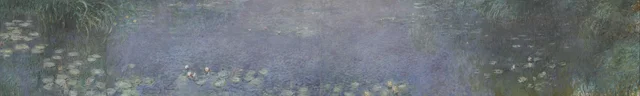 睡蓮：朝