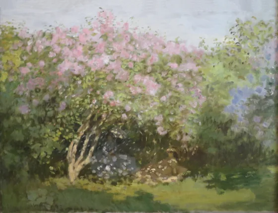Lilas au soleil
