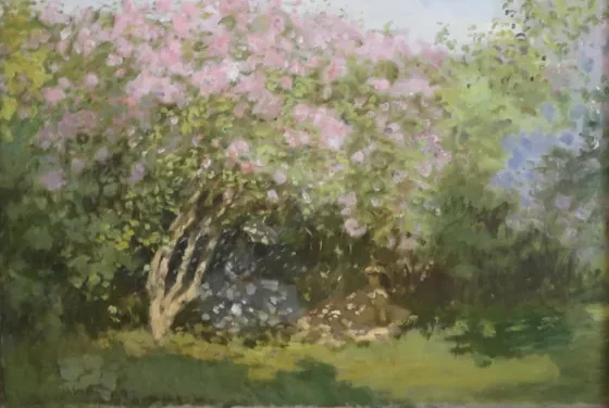 Lilas au soleil
