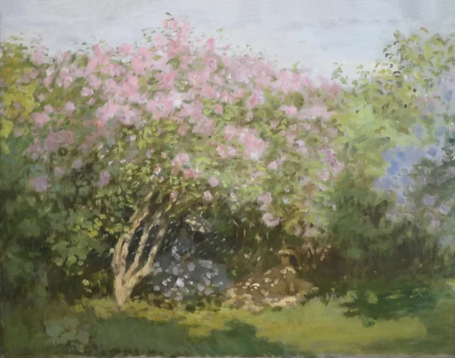Lilas al sol