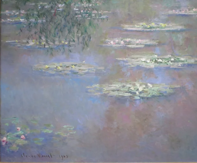 睡蓮