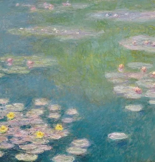 Nymphéas